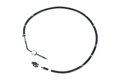 Jutiklis, išmetamųjų dujų temperatūra