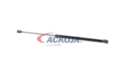 AMORTIZOR PORTBAGAJ ACKOJA A320132 39