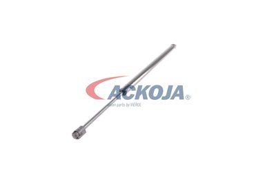 AMORTIZOR PORTBAGAJ ACKOJA A260098 29