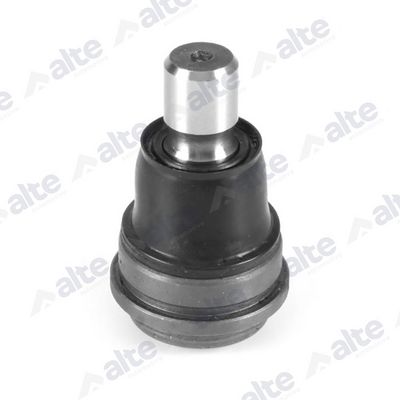 ARTICULATIE SARCINA/GHIDARE