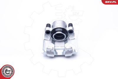 Brake Caliper 42SKV622