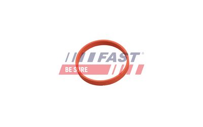 GARNITURA VENTIL AGR FAST FT50628 1