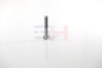 SURUB CAPAT DE AX GH GH392360 55