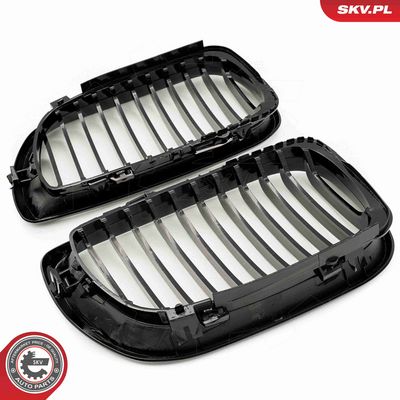 GRILA RADIATOR ESEN SKV 66SKV075 4