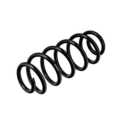 ARC SPIRAL EIBACH R10442 4