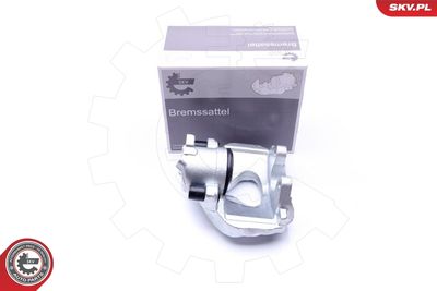 Brake Caliper 45SKV312