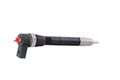 INJECTOR REMANTE 002003001108R 35
