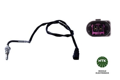 Sensor, Abgastemperatur