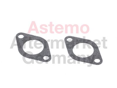 KüHLER ABGASRüCKFüHRUNG ASTEMO-HITACHI 2505990 4