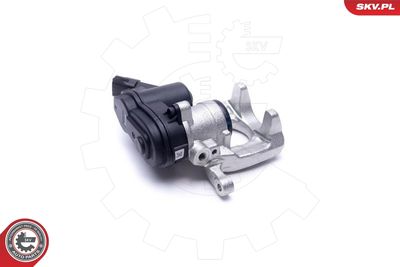 Brake Caliper 55SKV753