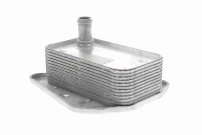 ÖLKüHLER MOTORöL VEMO V30601323 2