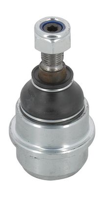 ARTICULATIE SARCINA/GHIDARE