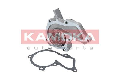 Water Pump, engine cooling T0134