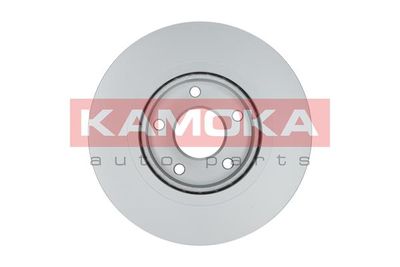 Brake Disc 1031047