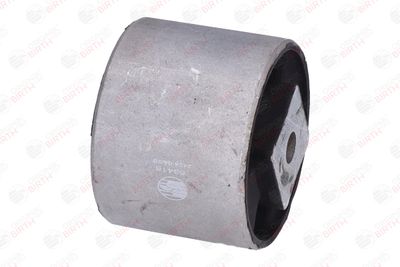 SUPORT MOTOR BIRTH 53418 5