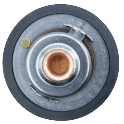 Termostat, chladivo MOTORAD 363-91K