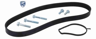 POMPA APA + SET CUREA TRANSMISIE CU CANELURI ACKOJA A700680 2