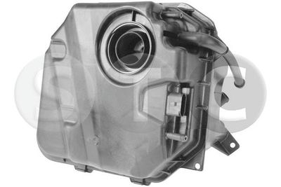 VAS DE EXPANSIUNE RACIRE