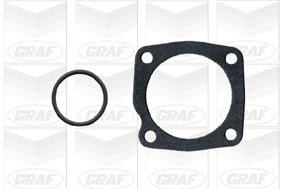 POMPă DE APă RăCIRE MOTOR GRAF PA340 1