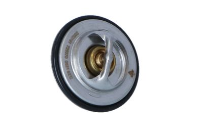 TERMOSTAT LICHID RACIRE NRF 725070 33