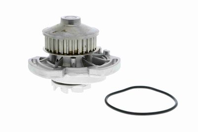 POMPă DE APă RăCIRE MOTOR