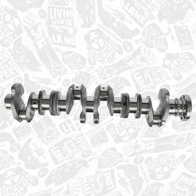 ARBORE COTIT ET ENGINETEAM HK0211 5