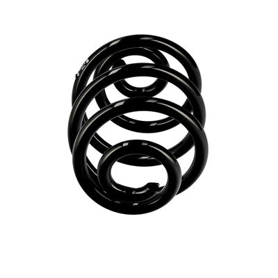 ARC SPIRAL EIBACH R10360 13