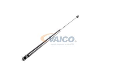 GASFEDER KOFFER-/LADERAUM VAICO V240211 53