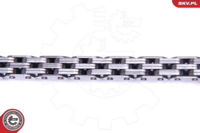 Timing Chain Kit 21SKV159