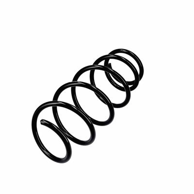 ARC SPIRAL EIBACH R11021 3