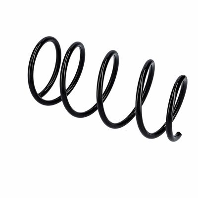 ARC SPIRAL EIBACH R10991 9