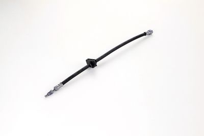 FURTUN FRANA ATE 24513404203 23