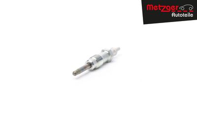 BUJIE INCANDESCENTA METZGER AUTOTEILE H1738 31