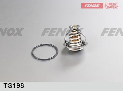 термостат, охладителна течност FENOX TS198