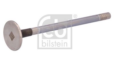 uitlaatklep (40,9x9,9x169,6mm) past: DAF CF, XF 106, XF II, XFC, XG, XG+  IRIZAR I3, I4, I6, I8  VAN HOOL EX, TX  VDL FUTURA MX-13303-MX340 05.10-