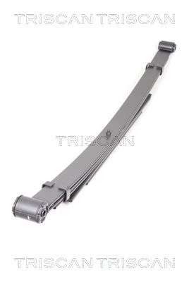 TRISCAN Federnpaket