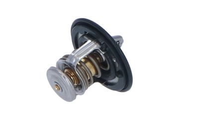 TERMOSTAT LICHID RACIRE NRF 725143 33