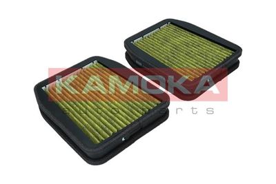 Filter, cabin air 6080045