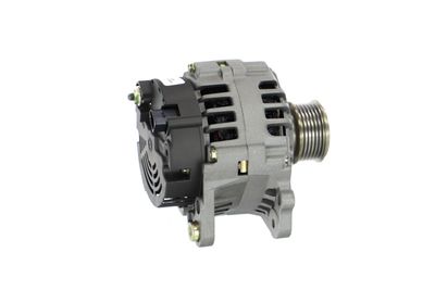 GENERATOR / ALTERNATOR REMANTE 011003000541R 42
