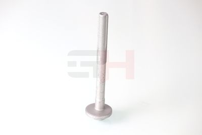 SURUB CORECTARE INCLINARE GH GH391590 15