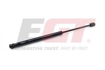 gas spring