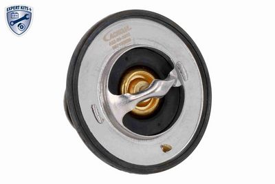 TERMOSTAT LICHID RACIRE