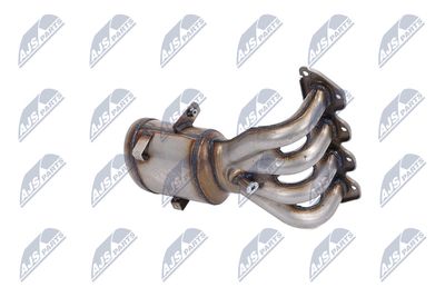 CATALIZATOR NTY KATPL011 31