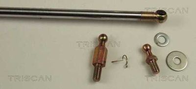 AMORTIZOR PORTBAGAJ TRISCAN 871042216 2