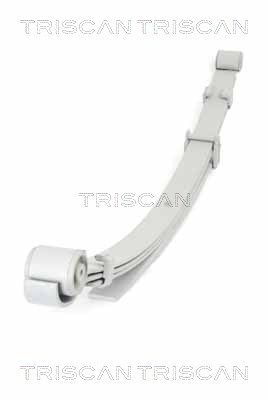 TRISCAN Federnpaket