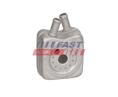 RADIATOR ULEI CUTIE VITEZE