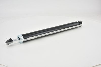 AMORTIZOR FEBEST 21650805R 22