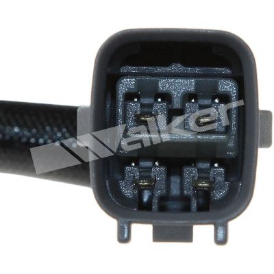 LAMBDASONDE WALKER PRODUCTS 250241079 3