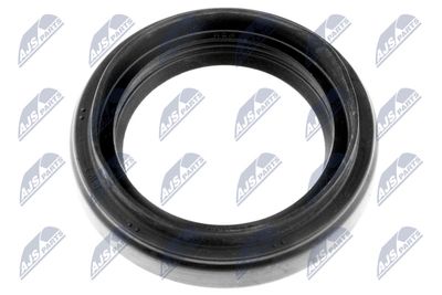 NTY Wellendichtring, Differential