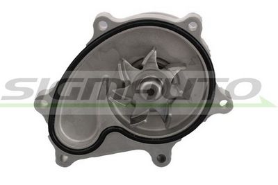 POMPă DE APă RăCIRE MOTOR